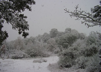 Photos neige